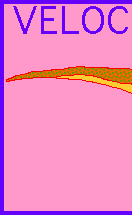 Velociraptor Tail