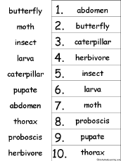 alphabetical order