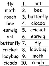 alphabetical order