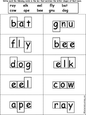 Word Shape