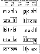 Word Shape