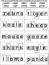 Word Shape