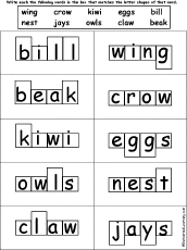 Word Shape