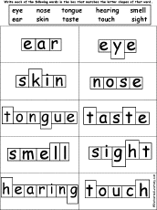 Word Shape