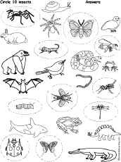 Circle Words