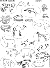Circle Words