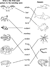 Match Words