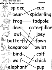 Circle Words