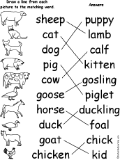 Circle Words
