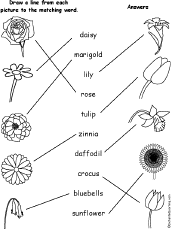 Match Words