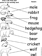 Match Words