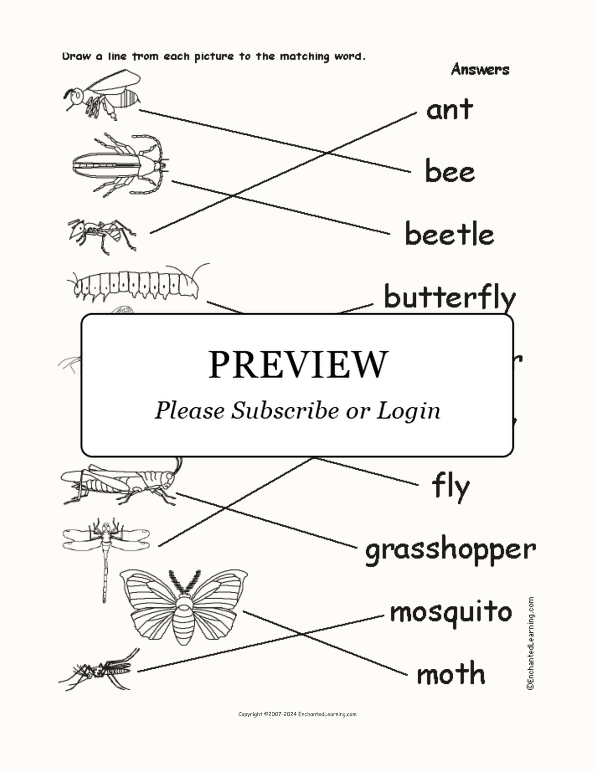 Match the Insect Words to the Pictures interactive worksheet page 2