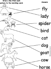 Match Words