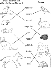 Match Words