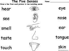 worksheets sense 2 Senses  Page Theme for at organs grade five EnchantedLearning.com
