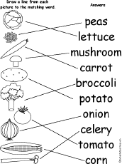 Match Words