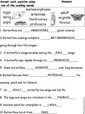 Spelling Words