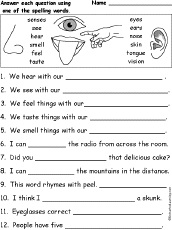 questions senses  five senses of for use word first  senses spelling list worksheets grade five spelling free  the