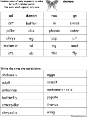 Word Pieces