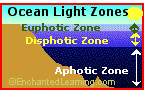 sunlit ocean zone