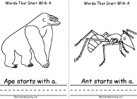 Ant, Ape