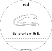 Eel