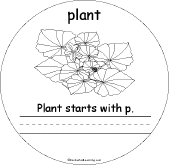 Plant