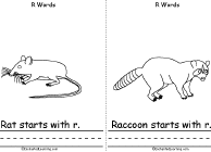 Rat, Raccoon