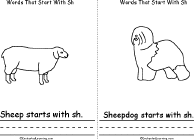 Sheep, Sheepdog