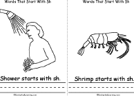 Shower, Shrimp