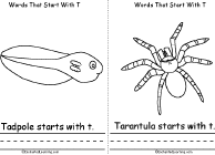 Tadpole, Tarantula