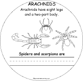 arachnids