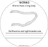 Worms