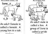Lioness, Cub, Pride