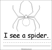 Spider