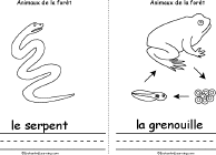 Snake, Frog