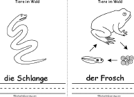 Snake, Frog