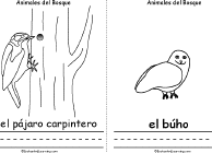 Woodpecker, Owl