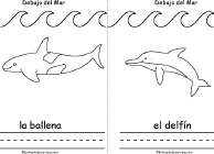 Whale, Dolphin