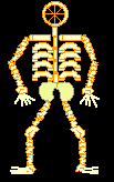 Pasta skeleton craft