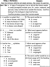 comprehension