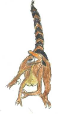 A Velociraptor.