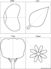 finish the drawing