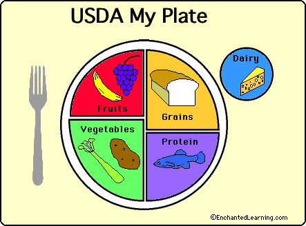 food icon "My Plate" suggests the proportion of various food 