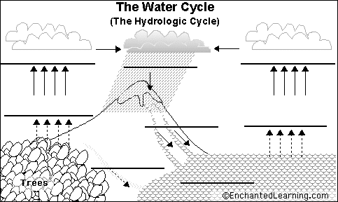water cycle diagram with labels for. Water Cycle diagram to label