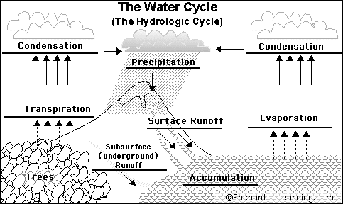 condensation water cycle. Water Cycle diagram to label