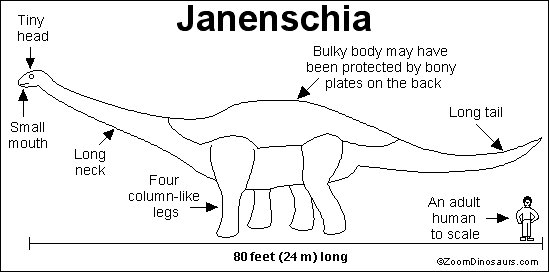 Resultado de imagen de janenschia