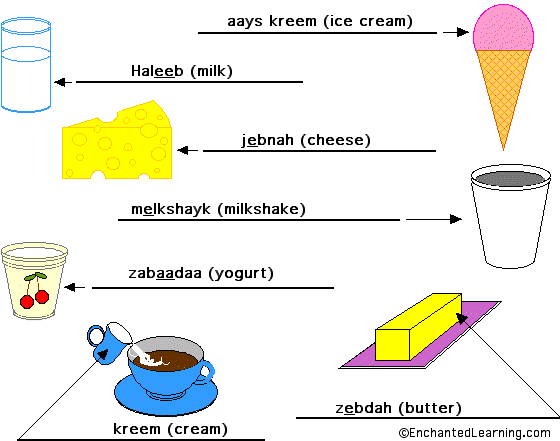 Label the Dairy Foods in Arabic - answers
