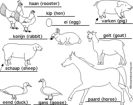 Label Farm Animals in Dutch - answers