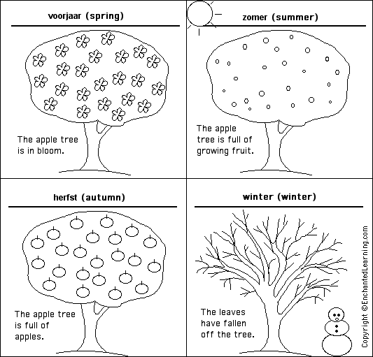Label the seasons in Dutch - answers
